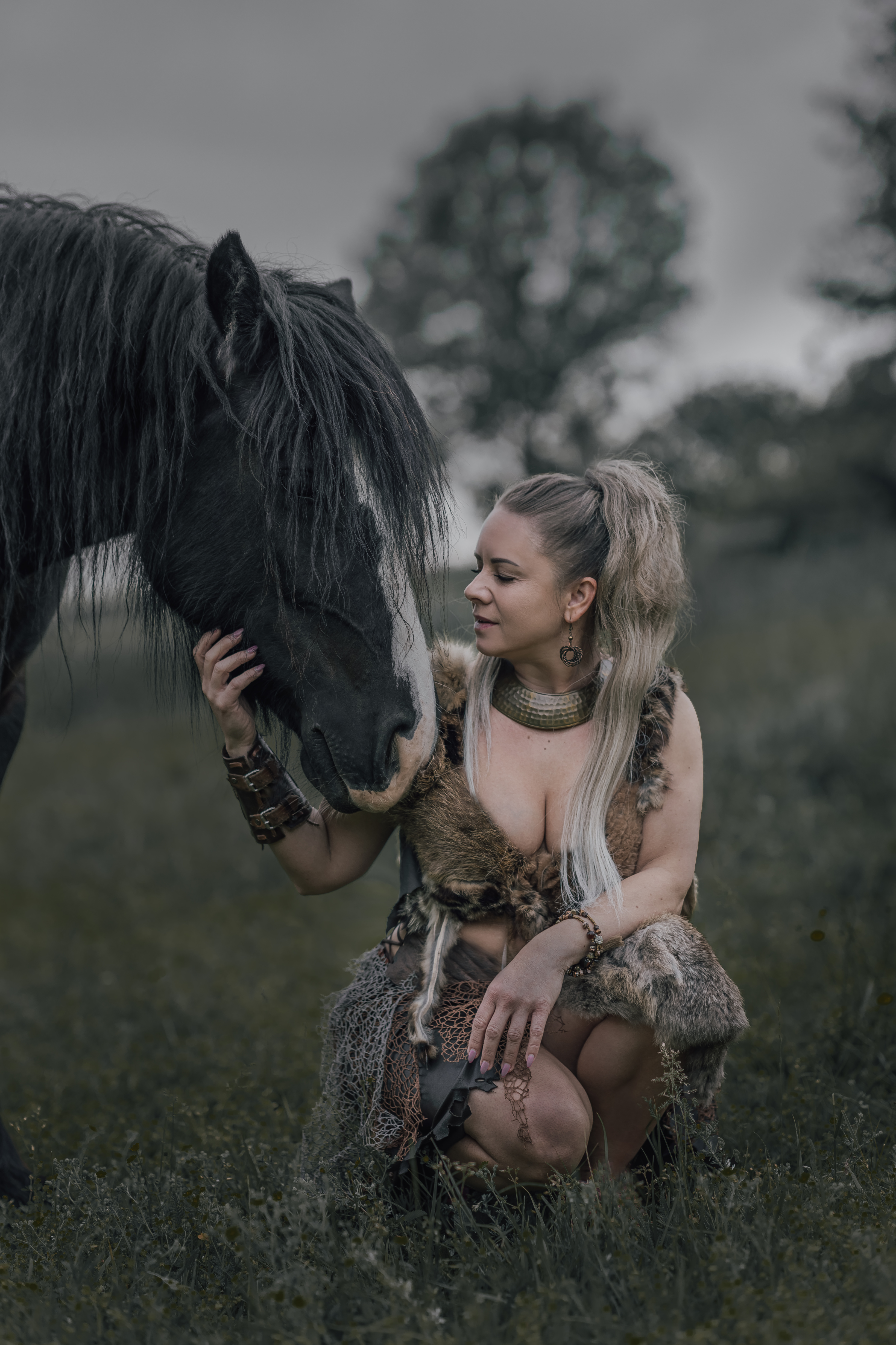 0C2A1746 – obnovený